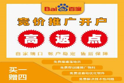 百度竞价代理操作手册：成功案例分析
